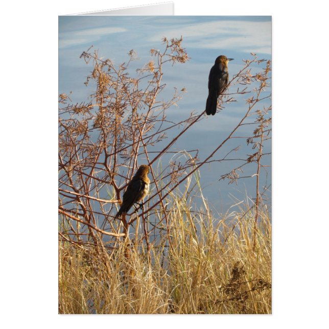 Mots simples d'appréciation de feutre de coeur (Devant)