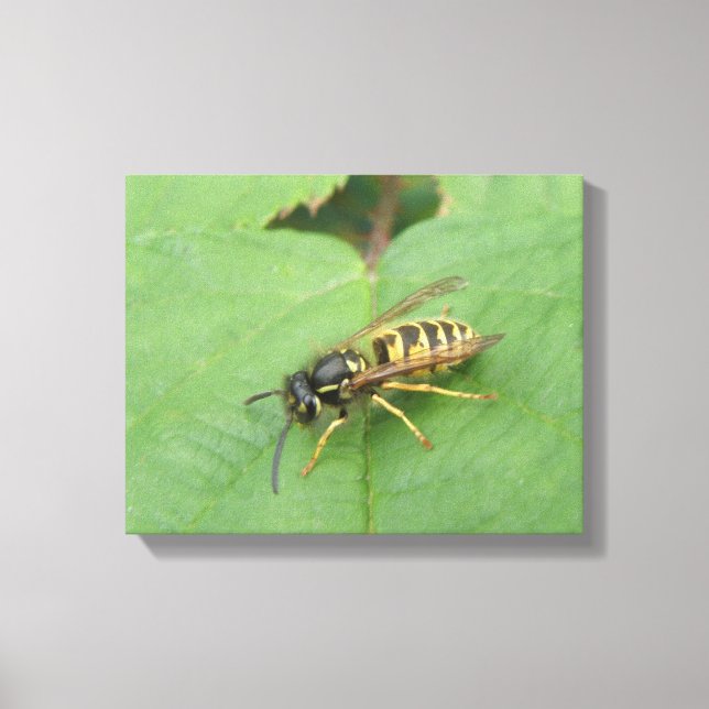 Mouche volante sur une impression sur toile de feu (Recto)