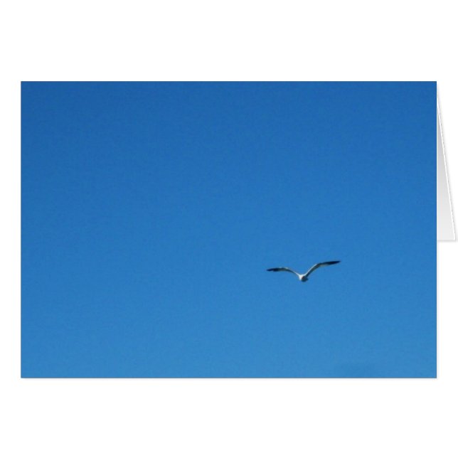 Mouette (Devant horizontal)