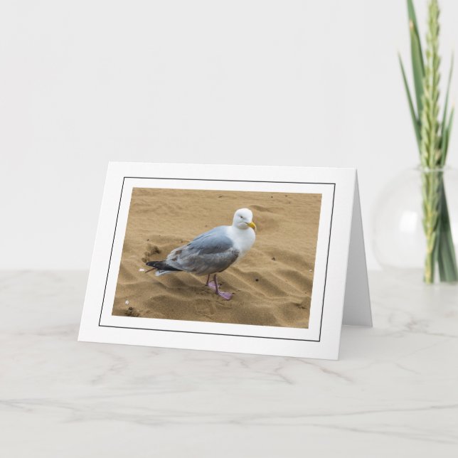 Mouette de mer sur une carte de voeux de plage de  (Devant)