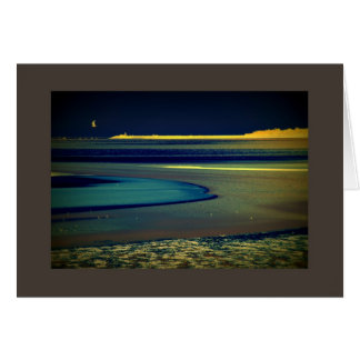 Mouette en bord de mer