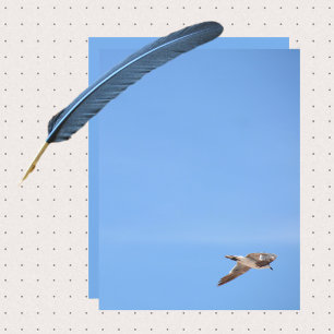 Mouette en vol ciel feuille de papier bleu