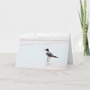 Mouette sur la carte de voeux de blanc de plage