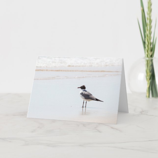 Mouette sur la carte de voeux de blanc de plage (Devant)