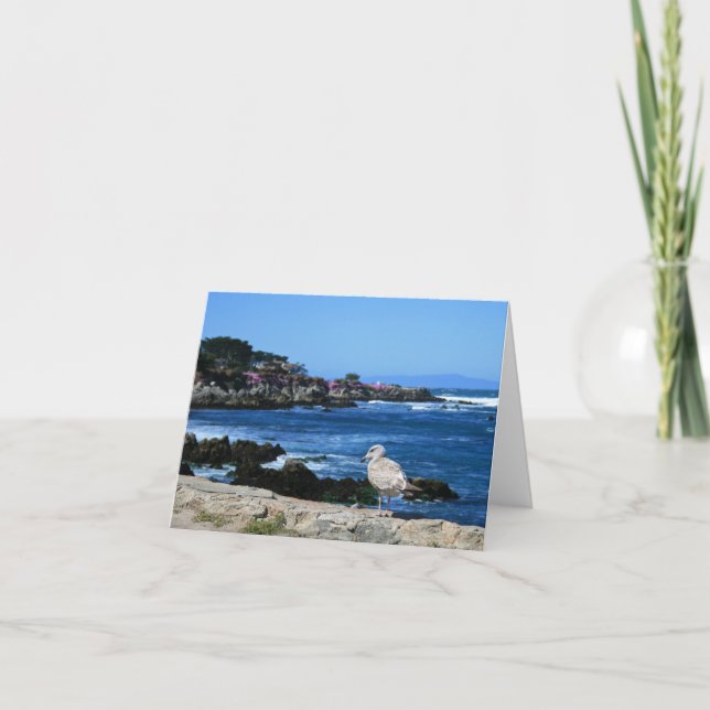 Mouette sur la côte du Pacifique, carte à billets  (Devant)