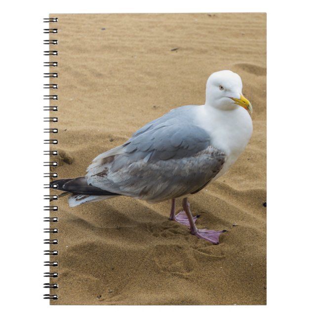 Mouette sur un carnet de plage (Devant)