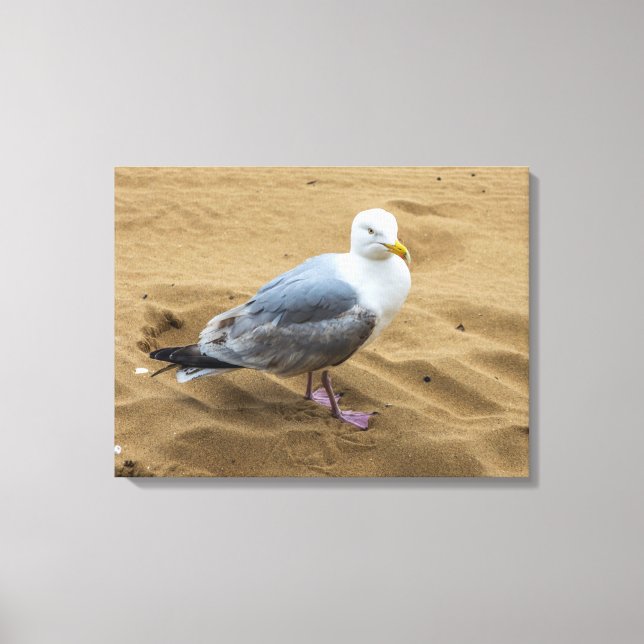 Mouette sur une toile de plage de sable imprimé (Recto)