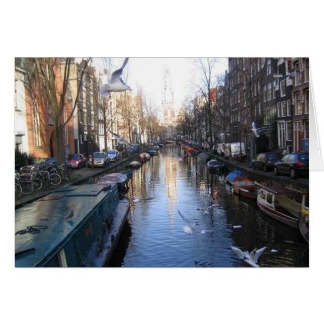 Mouettes (Devant horizontal)