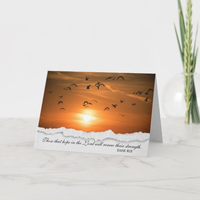 Mouettes À La Carte De Sympathie Du Coucher Du Sol (Devant)