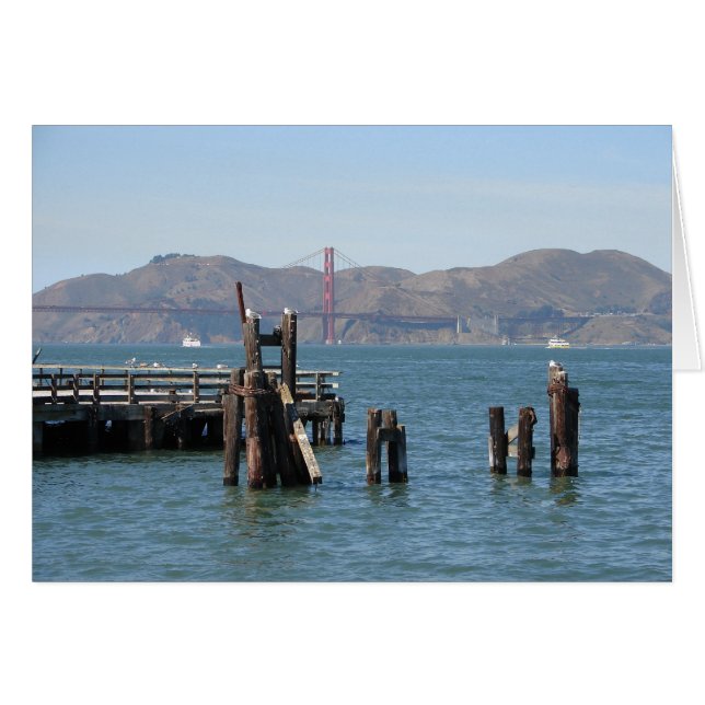 Mouettes à la jetée de la baie de San Francisco (Devant Horizontal)