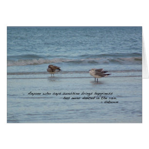 Mouettes à Naples, Floride