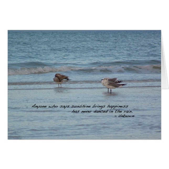 Mouettes à Naples, Floride (Devant horizontal)