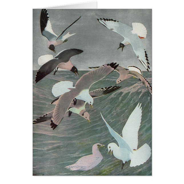 Mouettes au-dessus des vagues océaniques par Louis (Devant)