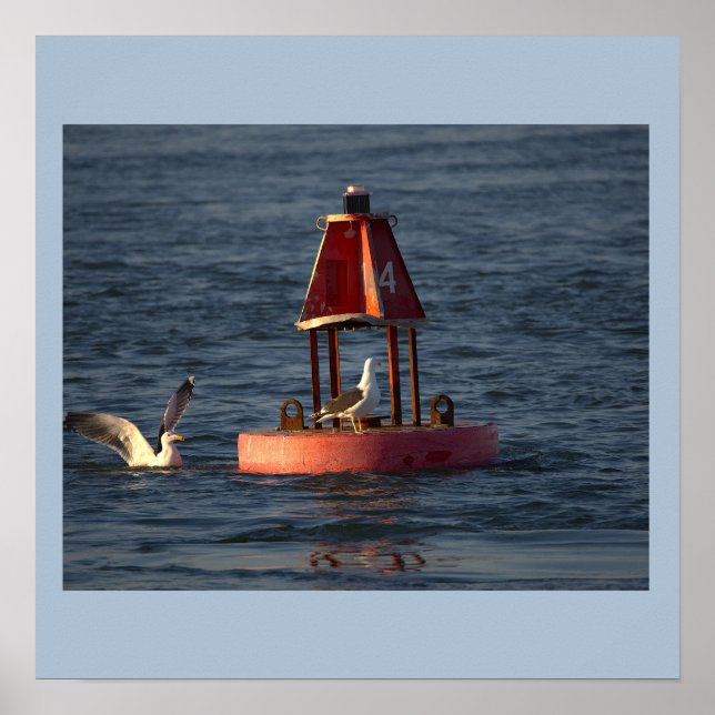 Mouettes avec affiche de bouée (Devant)