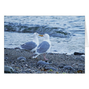 Mouettes s'embrasser sur la plage Photo