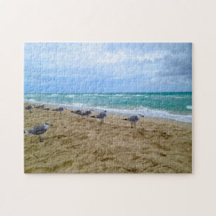 Mouettes sur le puzzle de plage