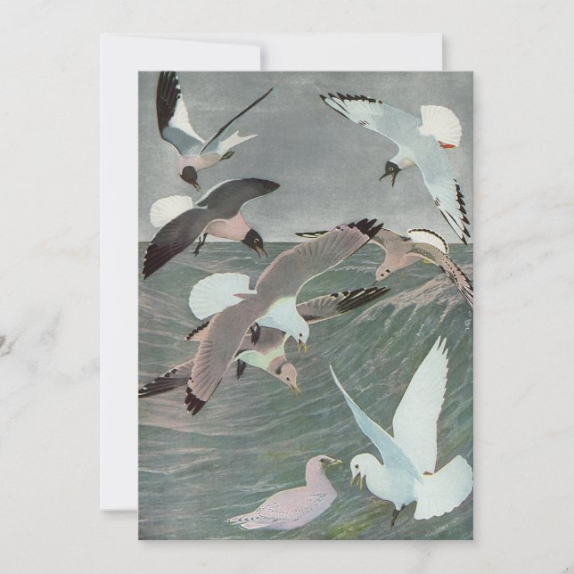 Mouettes sur les vagues de l'océan par Louis Agass (Devant)