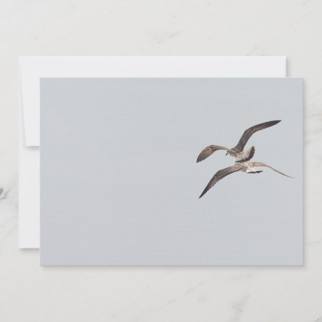 Mouettes volantes (Devant)