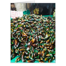 Moules à lèvres vertes à vendre