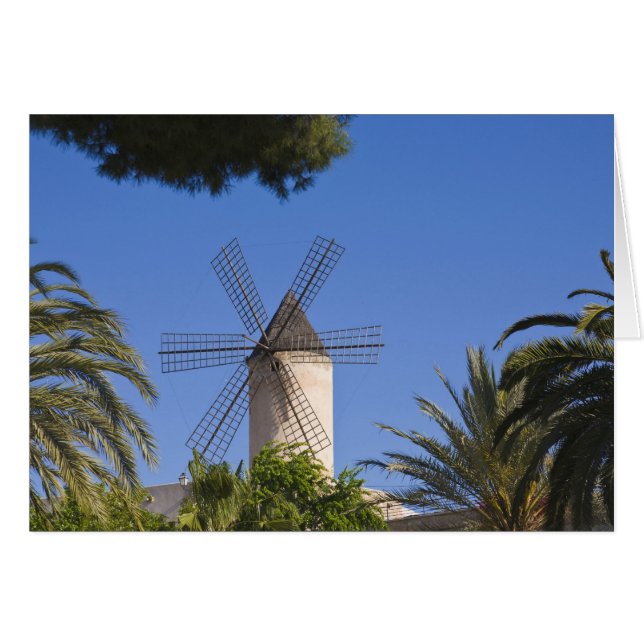 Moulin à vent, Palma, Majorque, Espagne (Devant horizontal)