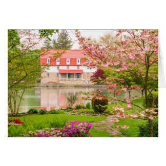 Moulin au printemps avec l'étang