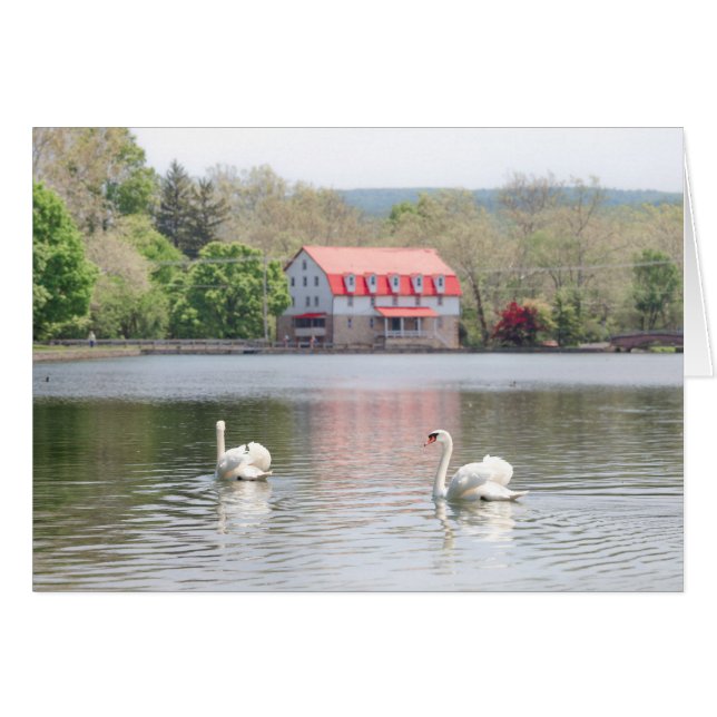 Moulin en été avec 2 cygnes dans l'étang (Devant horizontal)