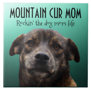 Mountain Cur Maman Carreaux en céramique
