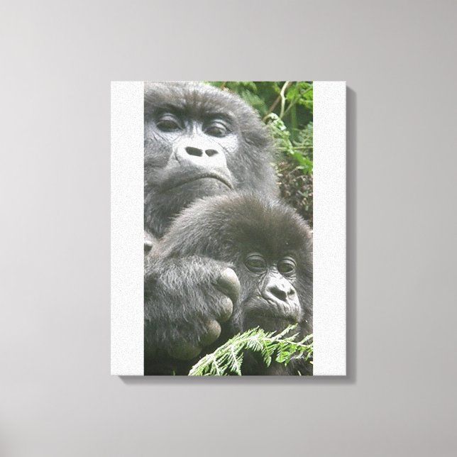 Mountain Gorilla & Baby 20 x 40 po. Toile (Recto)