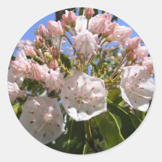 Mountain Laurel 46 ~ autocollant