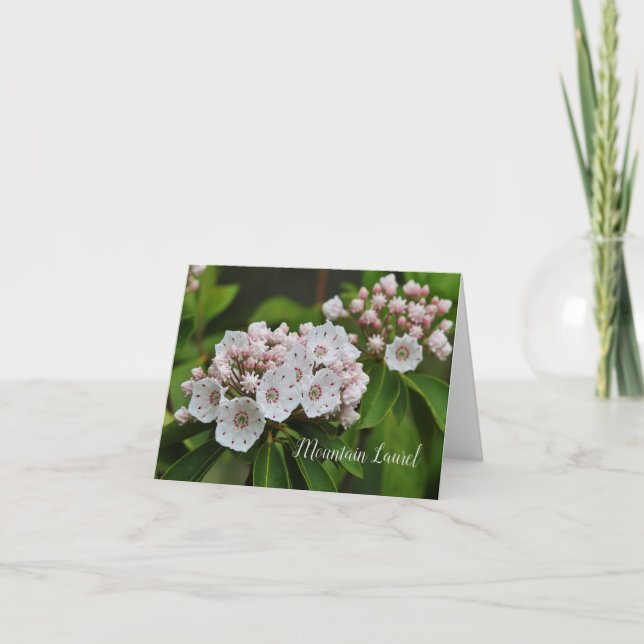 Mountain Laurel Photo Note Card (Devant)