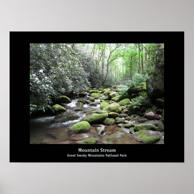 Mountain Stream Great Smoky Mountains Poster (Devant)