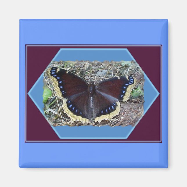 Mourning Cloak Butterfly Magnet (Devant)