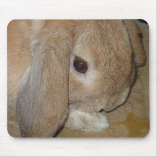 Mousepad ou tapis de souris - lapin nain à