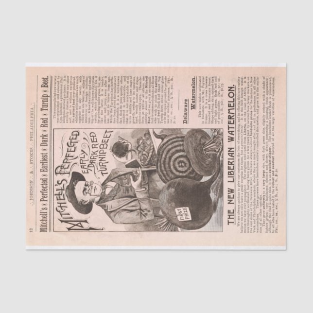 Mousseline Betteraves de catalogue de ferme et papier (Recto)