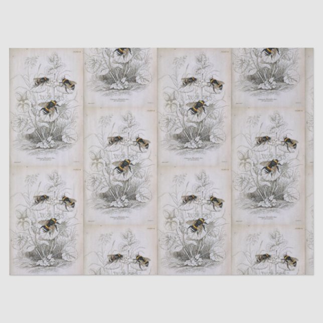 Mousseline Bumble Bee Botanique Papier Tissu (Recto)