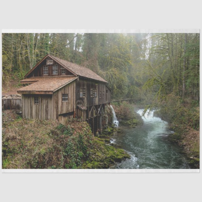 Mousseline Cabine forestier 26 Découpage Papier de tissus (Recto)