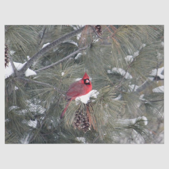 Mousseline Cardinal 3093 Papier Tissu (Recto)