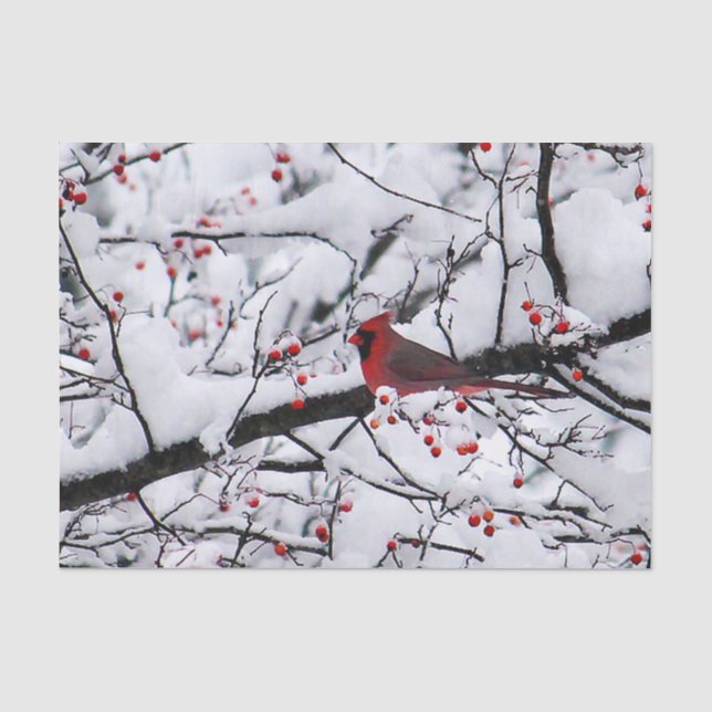 Mousseline Cardinal 6254 Papier Tissu (Recto)