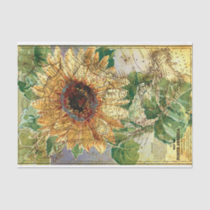 Mousseline Carte Nord-Américaine de tournesol Papier de décan