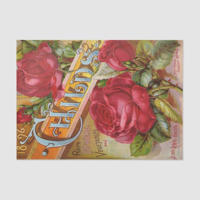 Mousseline Catalogue antique 10" de roses rouges X 15" papier (Recto)