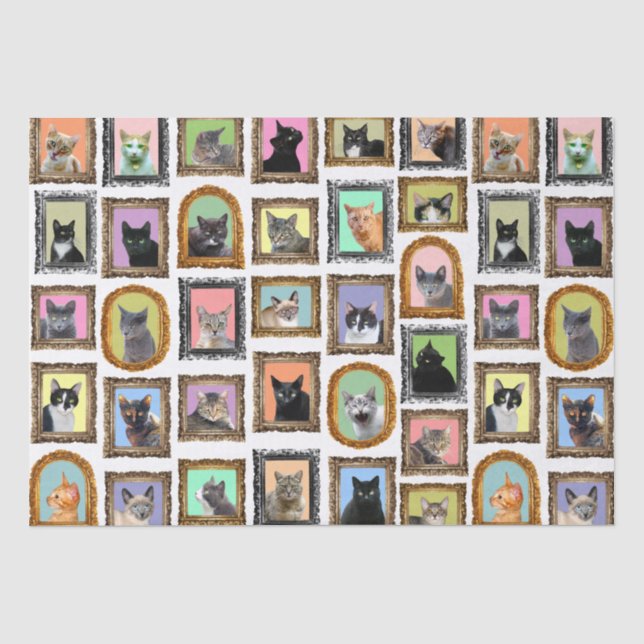 Mousseline Chats dans les cadres Papier Tissu (Recto)