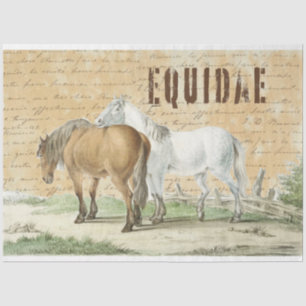 Mousseline Chevaux vintages dans le pâturage Pays Papier Tiss