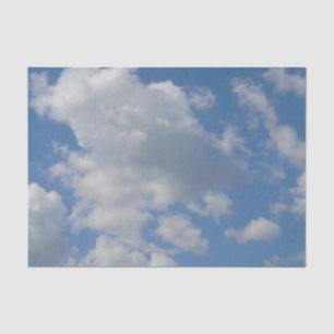 Mousseline Clouages blancs/gris et papier de tissus du ciel b