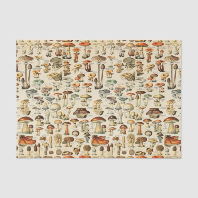 Mousseline Collection de champignons Papier de tissus (Recto)