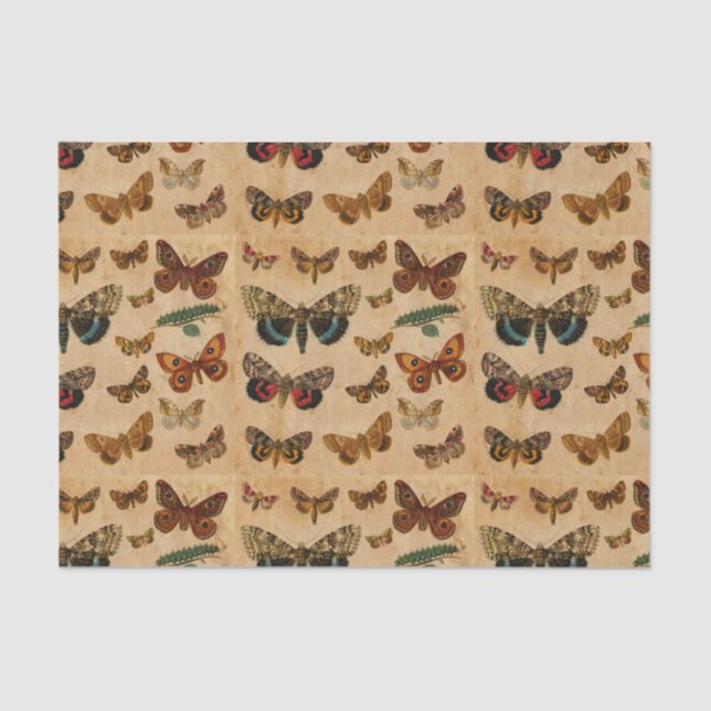Mousseline Collection Papillons Motif papier Vintage (Recto)