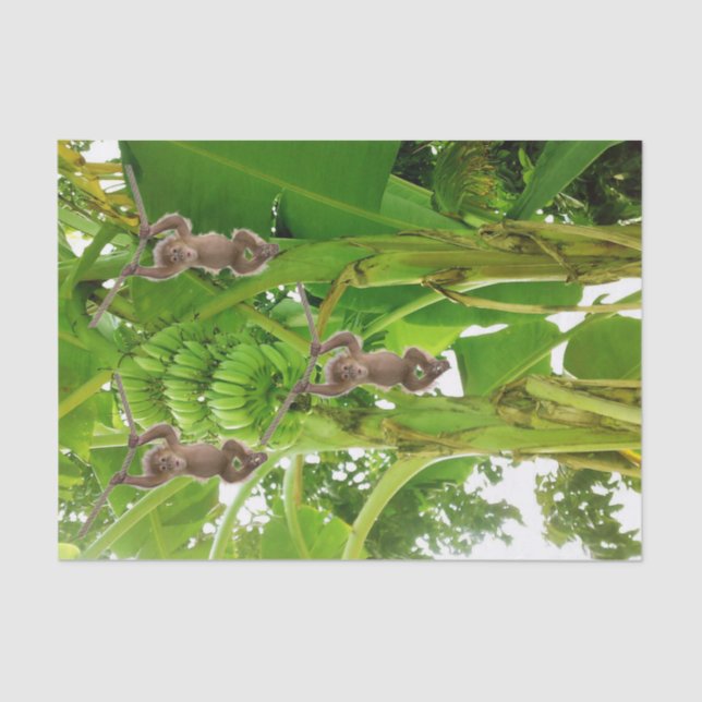 Mousseline Corde de singe en papier de tissus BanTree (Recto)