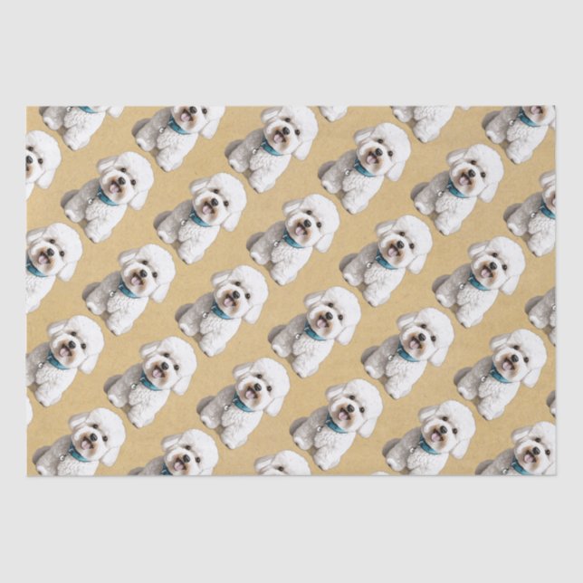 Mousseline Cute Bichon Frise sur un Arrière - plan de papier  (Recto)