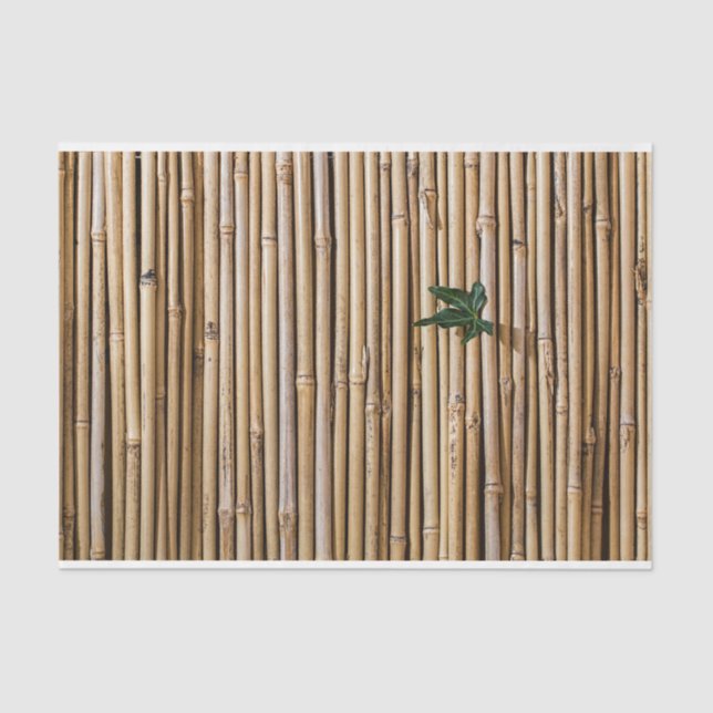 Mousseline Découpage en bambou 19 papier Arrière - plan (Recto)