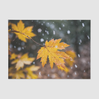 Mousseline "Élégant papier de tissus à motifs"