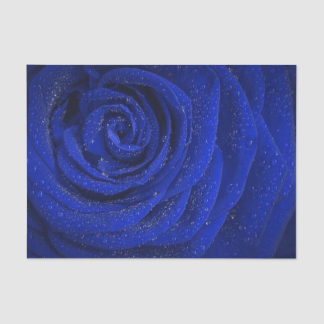 Mousseline Elégant papier rose bleu (Recto)
